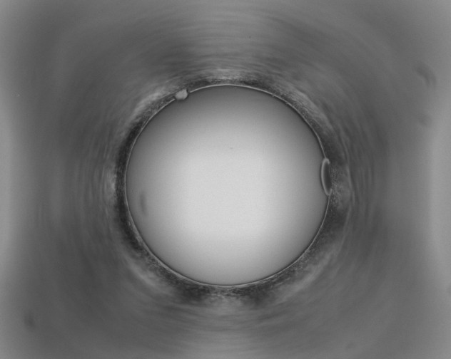 X0000113310207200909141012