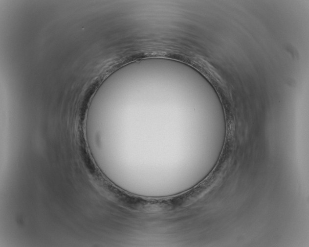 X0000113310209200909141012