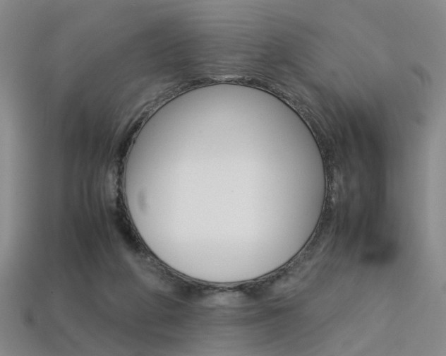 X0000113310210200909141012