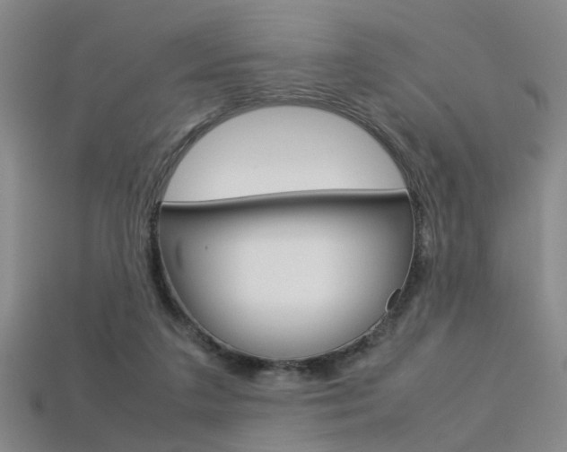 X0000113310211200909141012