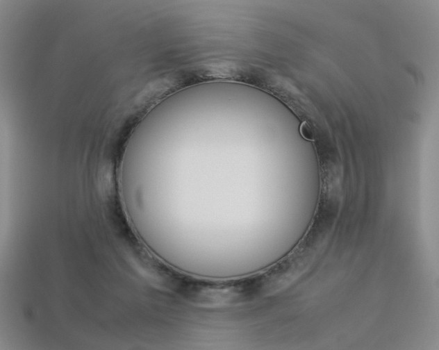 X0000113310213200909141012