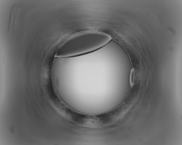 X0000113310215200909141012