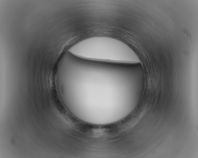 X0000113310216200909141012