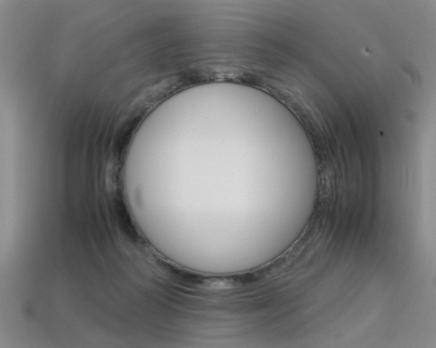 X0000113310218200909141012