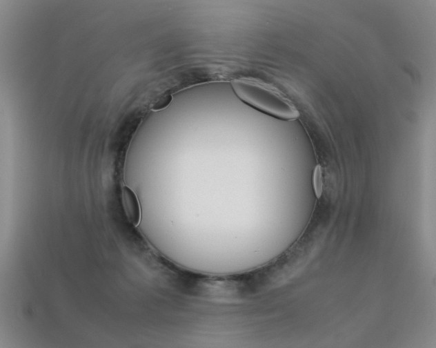 X0000113310221200909141012