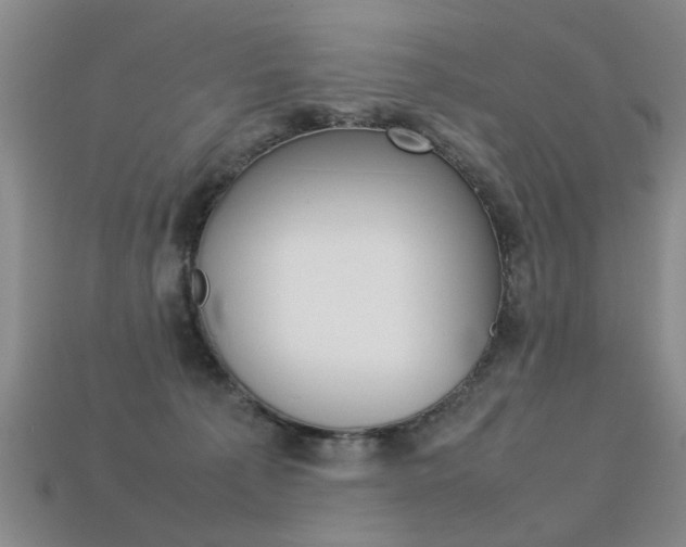 X0000113310225200909141012