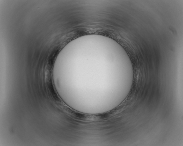 X0000113310226200909141012