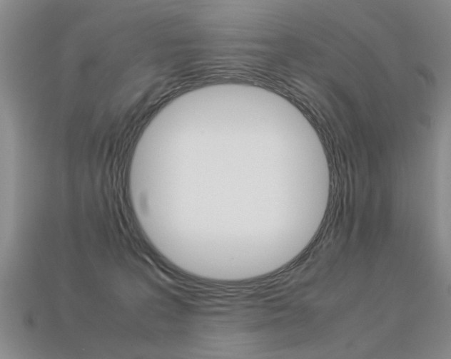 X0000113310227200909141012