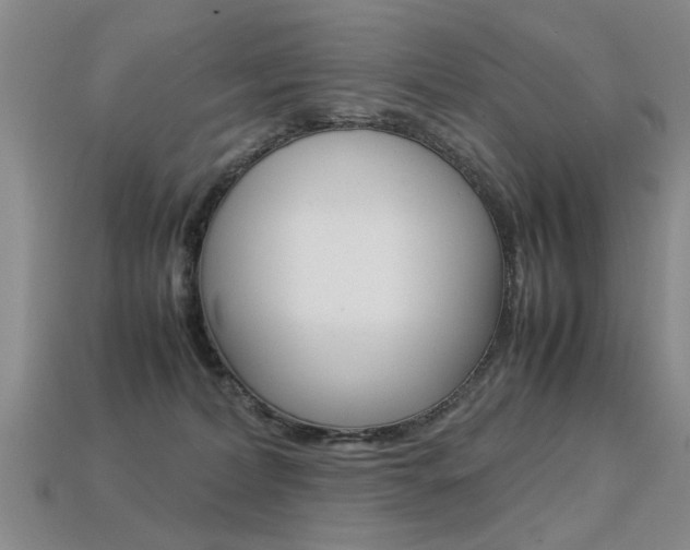 X0000113310228200909141012