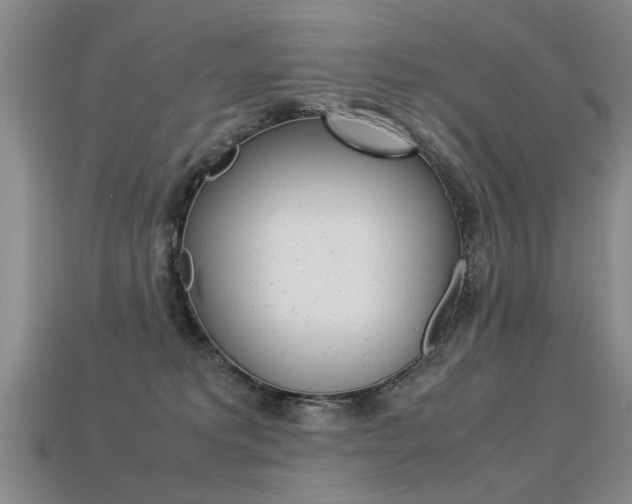 X0000113310229200909141012