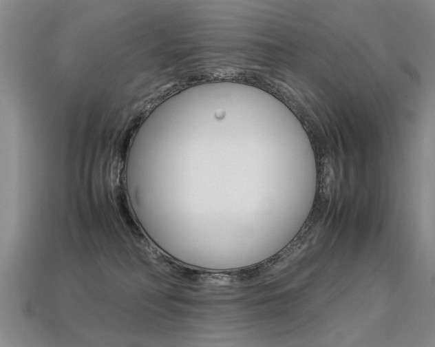 X0000113310230200909141012