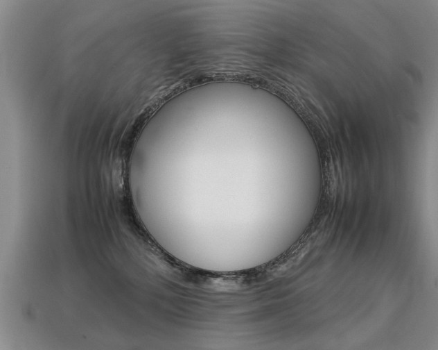 X0000113310232200909141012