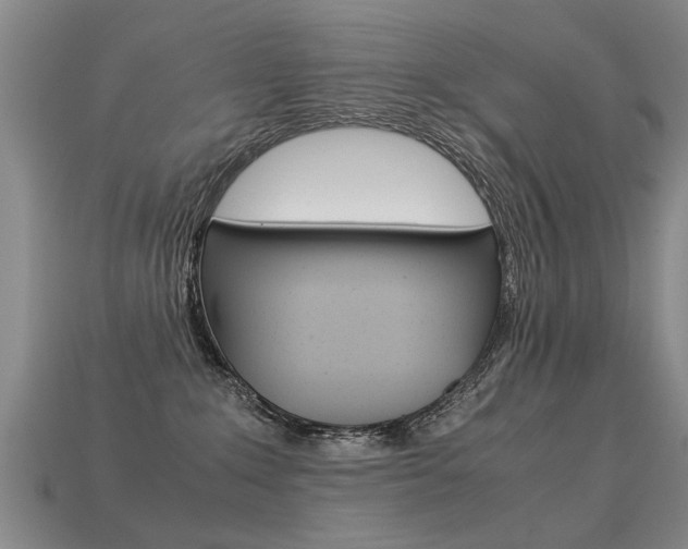 X0000113310235200909141012