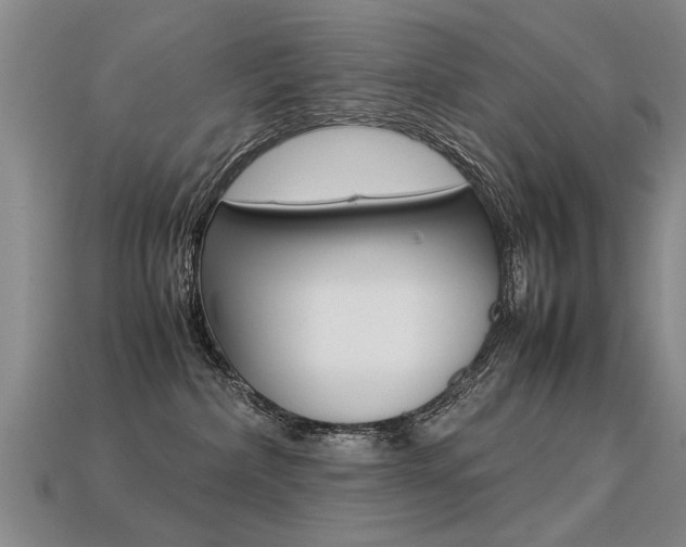 X0000113310236200909141012