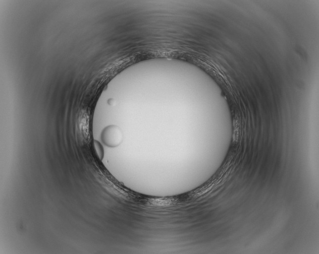 X0000113310238200909141012