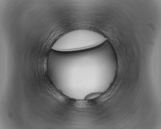 X0000113310240200909141012