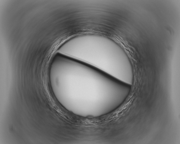 X0000113310241200909141011