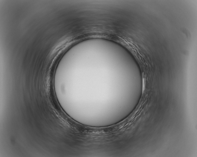 X0000113310243200909141011