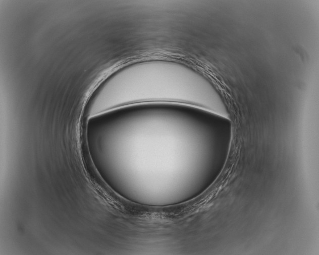 X0000113310244200909141011