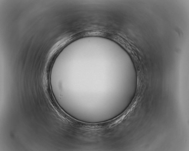 X0000113310245200909141011