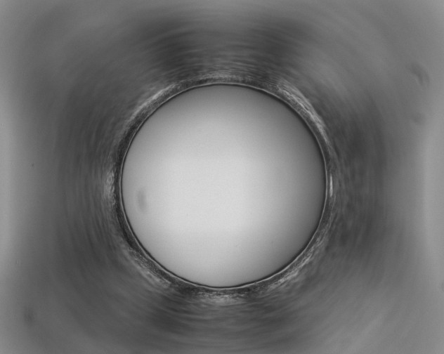 X0000113310249200909141011