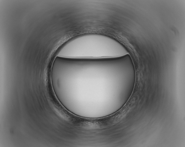 X0000113310250200909141011