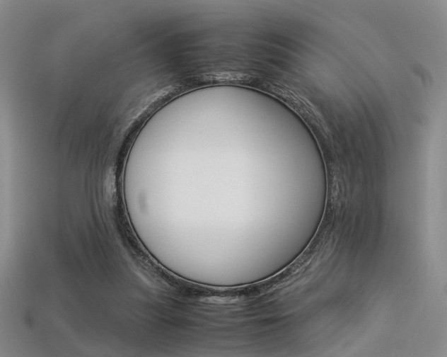 X0000113310251200909141011