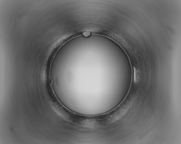 X0000113310252200909141011