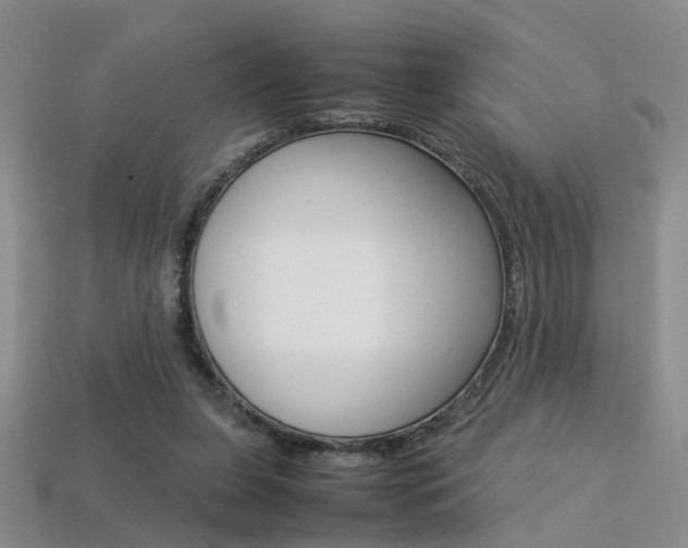 X0000113310255200909141012