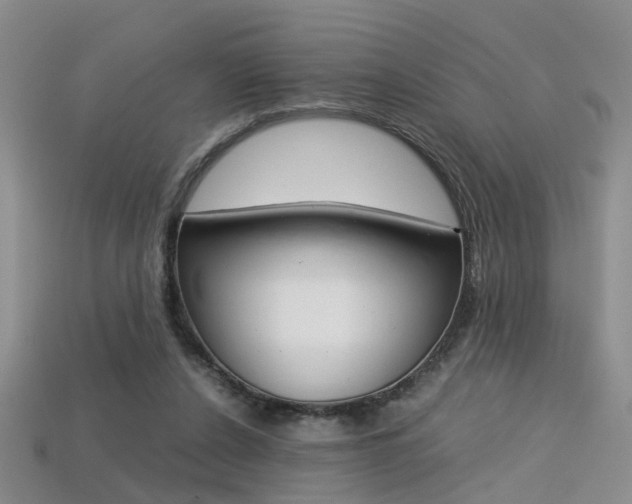 X0000113310256200909141012