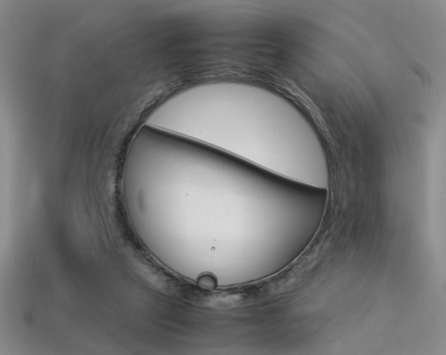 X0000113310257200909141012