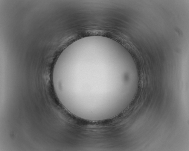 X0000113310259200909141012