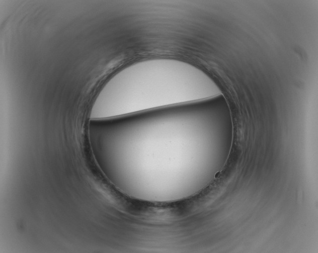 X0000113310260200909141012