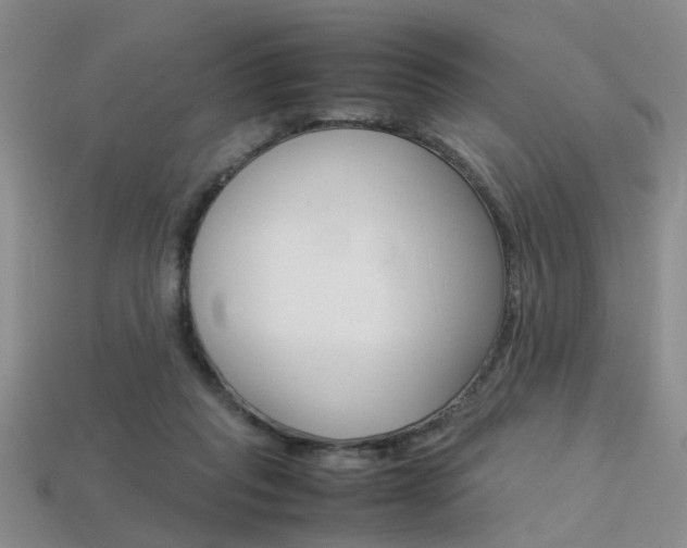 X0000113310261200909141012