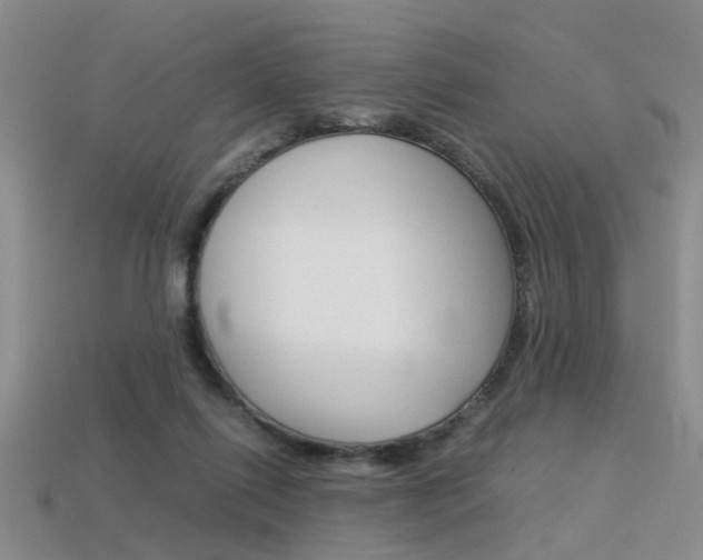 X0000113310262200909141012