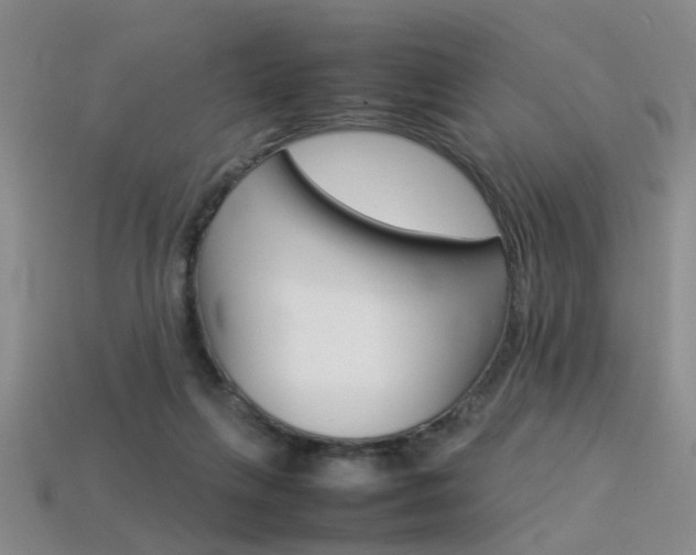 X0000113310263200909141012