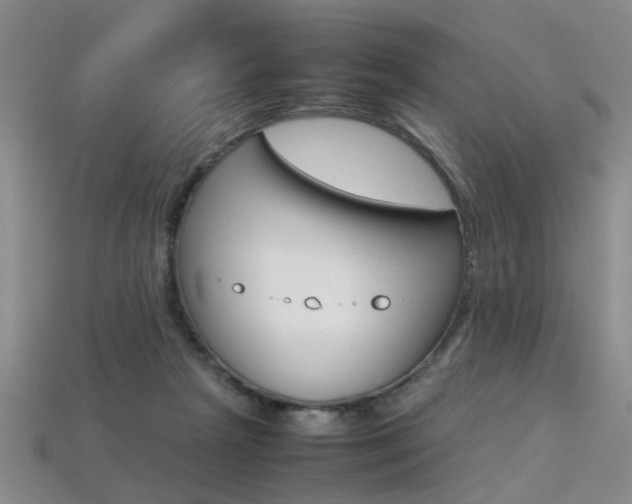 X0000113310265200909141012