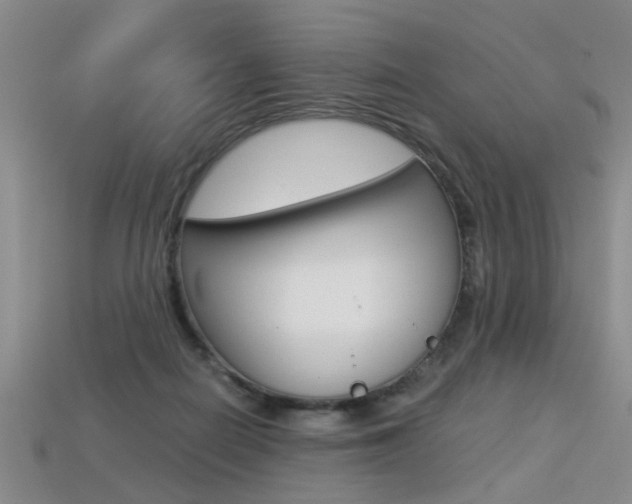 X0000113310266200909141012