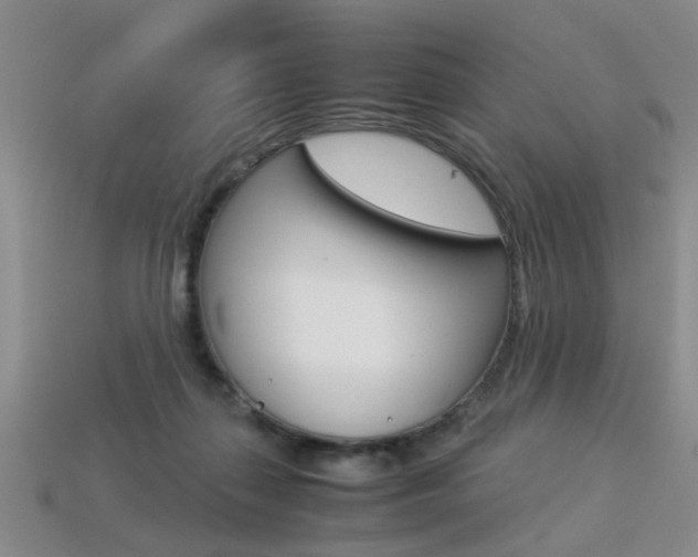 X0000113310267200909141012