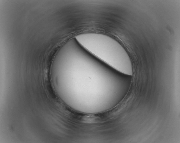 X0000113310269200909141012