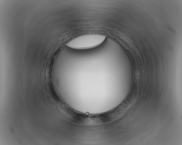 X0000113310270200909141012