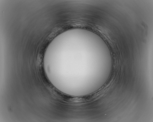 X0000113310273200909141012