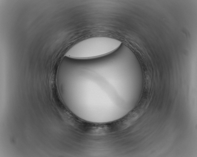 X0000113310274200909141012