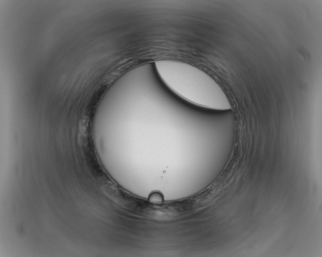 X0000113310275200909141012