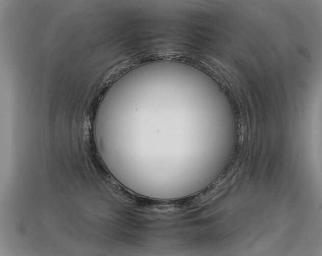 X0000113310279200909141012