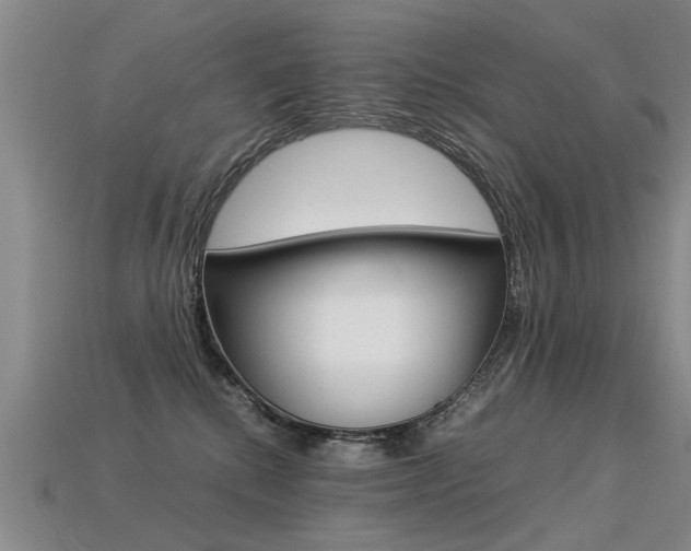 X0000113310280200909141012