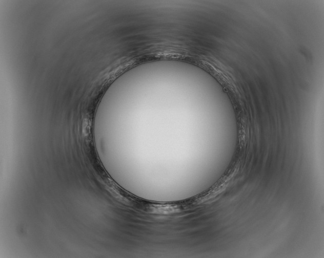 X0000113310281200909141012