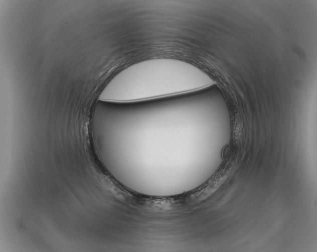 X0000113310282200909141012