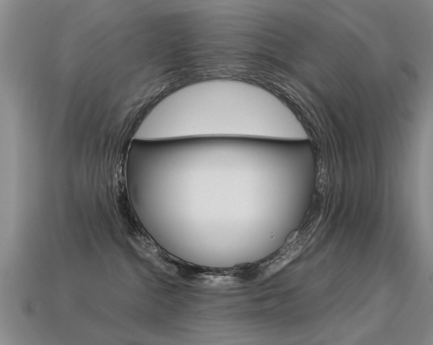 X0000113310284200909141012