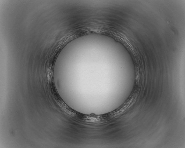 X0000113310285200909141012